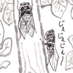 現代蝉しぐれ