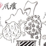 台風上陸