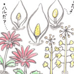 ヤヨイ