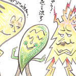 シーズン