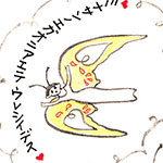 ケシン
