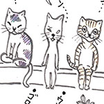 ケジメ