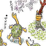 ヒガン