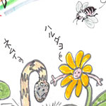 メザメ